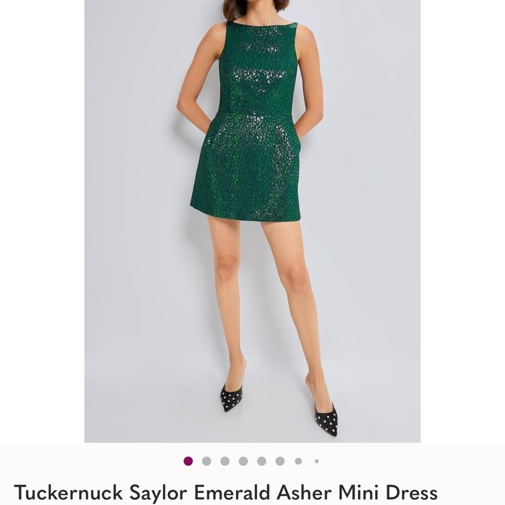 Tuckernuck Saylor Sparkling Green Mini Dress